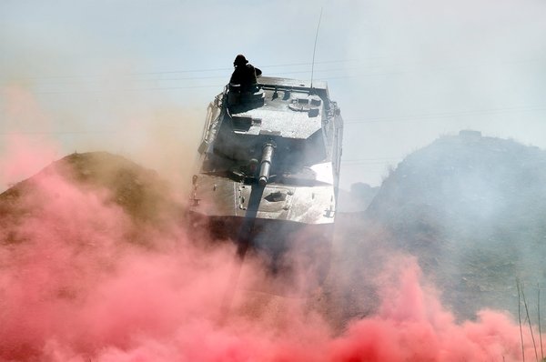 How to Recognize the Early Signs of Hip Dysplasia in German Shepherds?